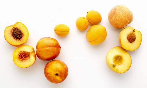 Отличия между абрикосом и персиком с фото