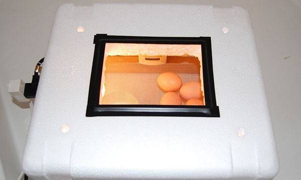 Как сделать инкубатор для вывода птенцов своими руками с фото