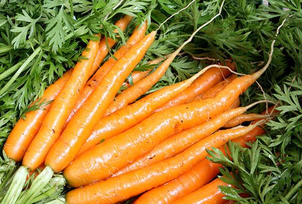 Как хранить морковь в квартире  полезные советы - фото