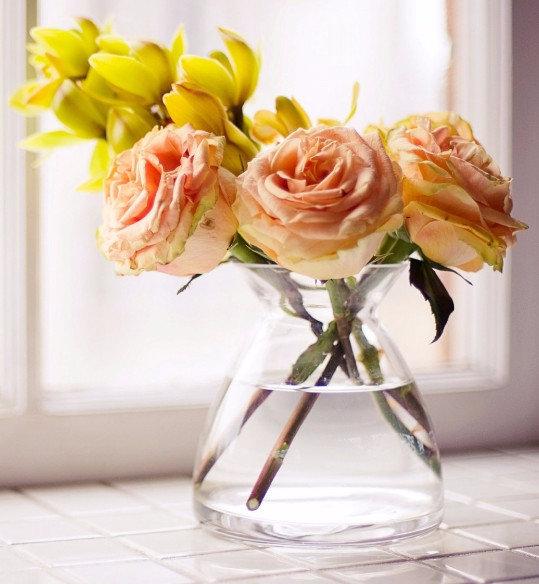 Как дольше сохранить розы в вазе: 9 практических советов - фото