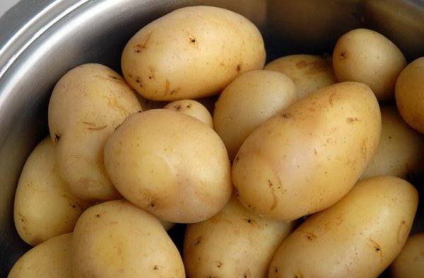 Неприхотливый в выращивании картофель Голубизна - фото