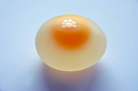 Яйца без скорлупы: в чем причина проблемы? с фото