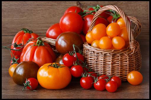 Самые лучшие сорта томатов - фото