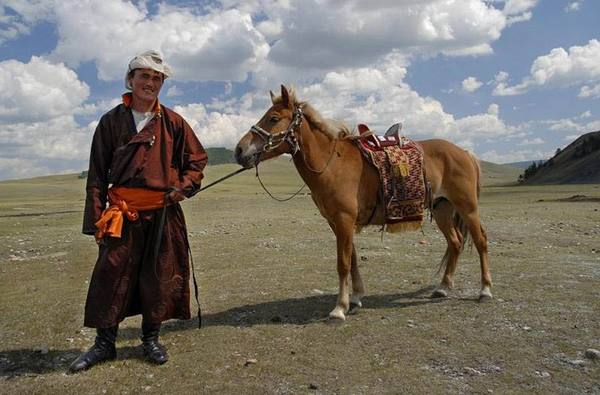 Монгольская порода лошадей: фото и описание - фото