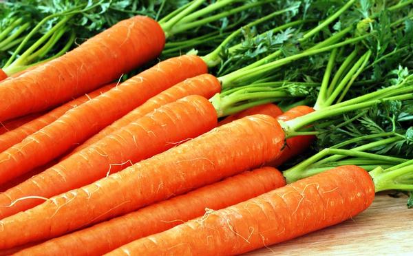 Рецепты использования моркови в народной медицине - фото
