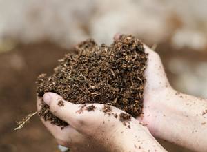 Раскисление почвы  как сделать участок на даче плодородным? - фото