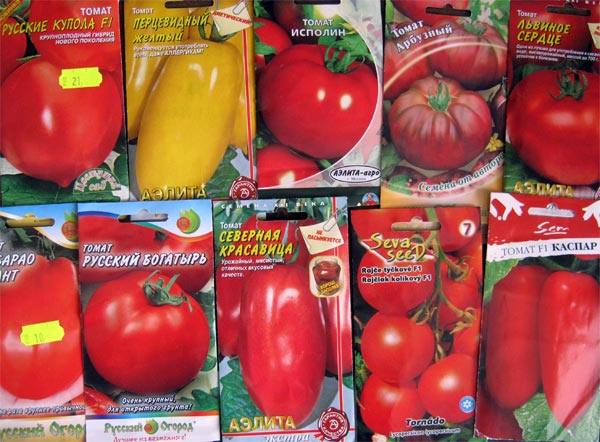 Семена помидоров для теплиц  что лучше выбрать? с фото
