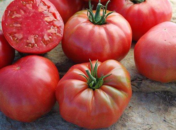 Особенности выращивания томатов 