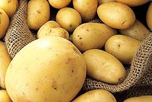Огород без хлопот: посадка картофеля под солому - фото